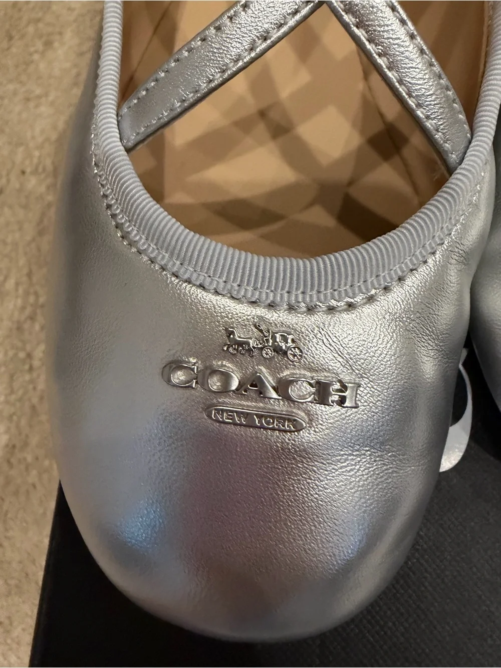 Coach Phoebe Silver Ballet Flats